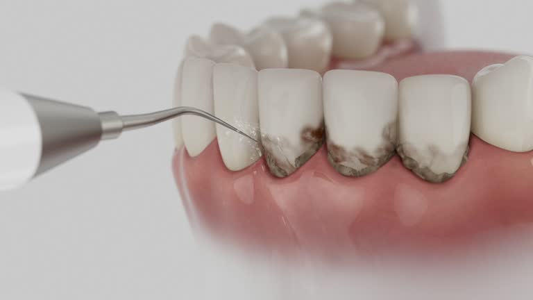 Reliable Dental contractor in Larksville, PA by Dentist Open Now